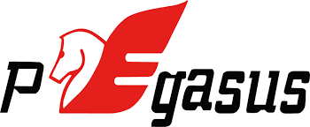 ペガサスグローバル
