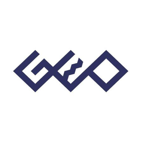 株式会社ゲオホールディングス